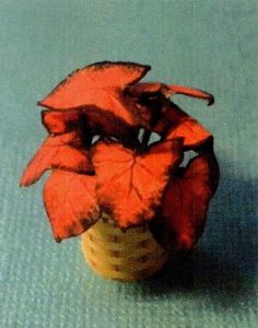 1:12 Scale Dollhouse Miniature Coleus House Plant Kit P111