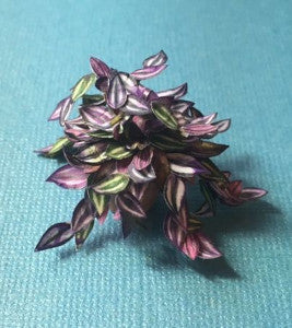 1:12 Scale Dollhouse Miniature Wandering Jew Plant Kit