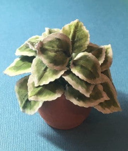1:12 Scale Dollhouse Miniature Large Hosta Plant Kit