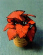1:12 Scale Dollhouse Miniature Coleus House Plant Kit P111