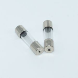 5x20mm Fast Blow Glass Fuses (2 pack)